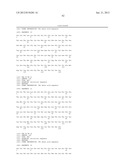 HUMANIZED ANTIBODIES SPECIFIC FOR HSP65-DERIVED PEPTIDE-6 METHODS AND USES     THEREOF diagram and image