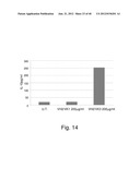 HUMANIZED ANTIBODIES SPECIFIC FOR HSP65-DERIVED PEPTIDE-6 METHODS AND USES     THEREOF diagram and image