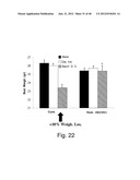 HUMANIZED ANTIBODIES SPECIFIC FOR HSP65-DERIVED PEPTIDE-6 METHODS AND USES     THEREOF diagram and image