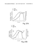 HUMANIZED ANTIBODIES SPECIFIC FOR HSP65-DERIVED PEPTIDE-6 METHODS AND USES     THEREOF diagram and image