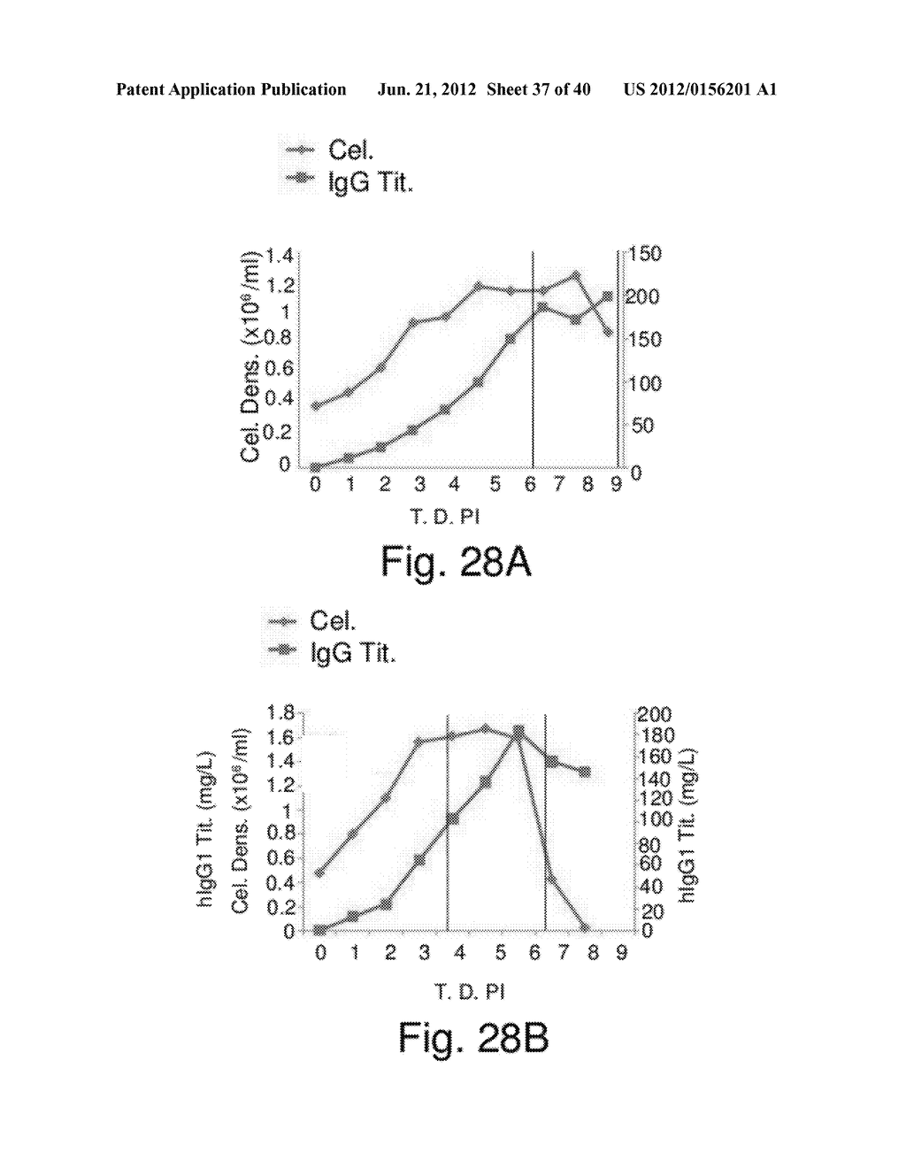 HUMANIZED ANTIBODIES SPECIFIC FOR HSP65-DERIVED PEPTIDE-6 METHODS AND USES     THEREOF - diagram, schematic, and image 38