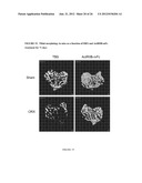 METHODS FOR INCREASING ADIPONECTIN diagram and image