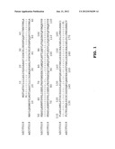 ANTI-IL-TIF ANTIBODIES AND METHODS OF USE diagram and image
