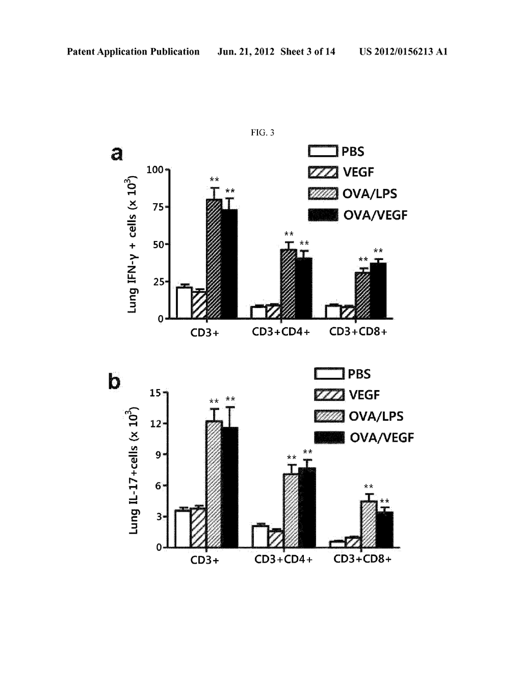 METHOD FOR TREATING TH17 INFLAMMATORY DISEASE THROUGH INHIBITION OF     VASCULAR ENDOTHELIAL GROWTH FACTOR RECEPTORS AND PHARMACEUTICAL     COMPOSITION THEREFOR - diagram, schematic, and image 04