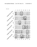 FOXM1 PEPTIDES AND VACCINES CONTAINING THE SAME diagram and image