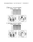 VACCINE THERAPY FOR CHOROIDAL NEOVASCULARIZATION diagram and image