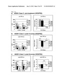 VACCINE THERAPY FOR CHOROIDAL NEOVASCULARIZATION diagram and image