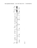 HERPES VIRUS BACKBONE FOR VIRAL VACCINE AND VACCINE BASED THEREON diagram and image