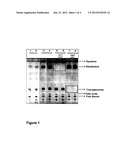 GENETICALLY MODIFIED ORGANISM FOR THE PRODUCTION OF LIPIDS diagram and image