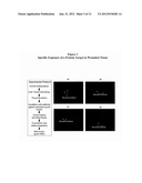 Methods and Compositions for Wound Treatment diagram and image