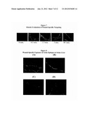 Methods and Compositions for Wound Treatment diagram and image