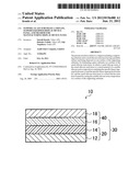 SUPPORT, GLASS SUBSTRATE LAMINATE, SUPPORT-EQUIPPED DISPLAY DEVICE PANEL,     AND METHOD FOR MANUFACTURING DISPLAY DEVICE PANEL diagram and image