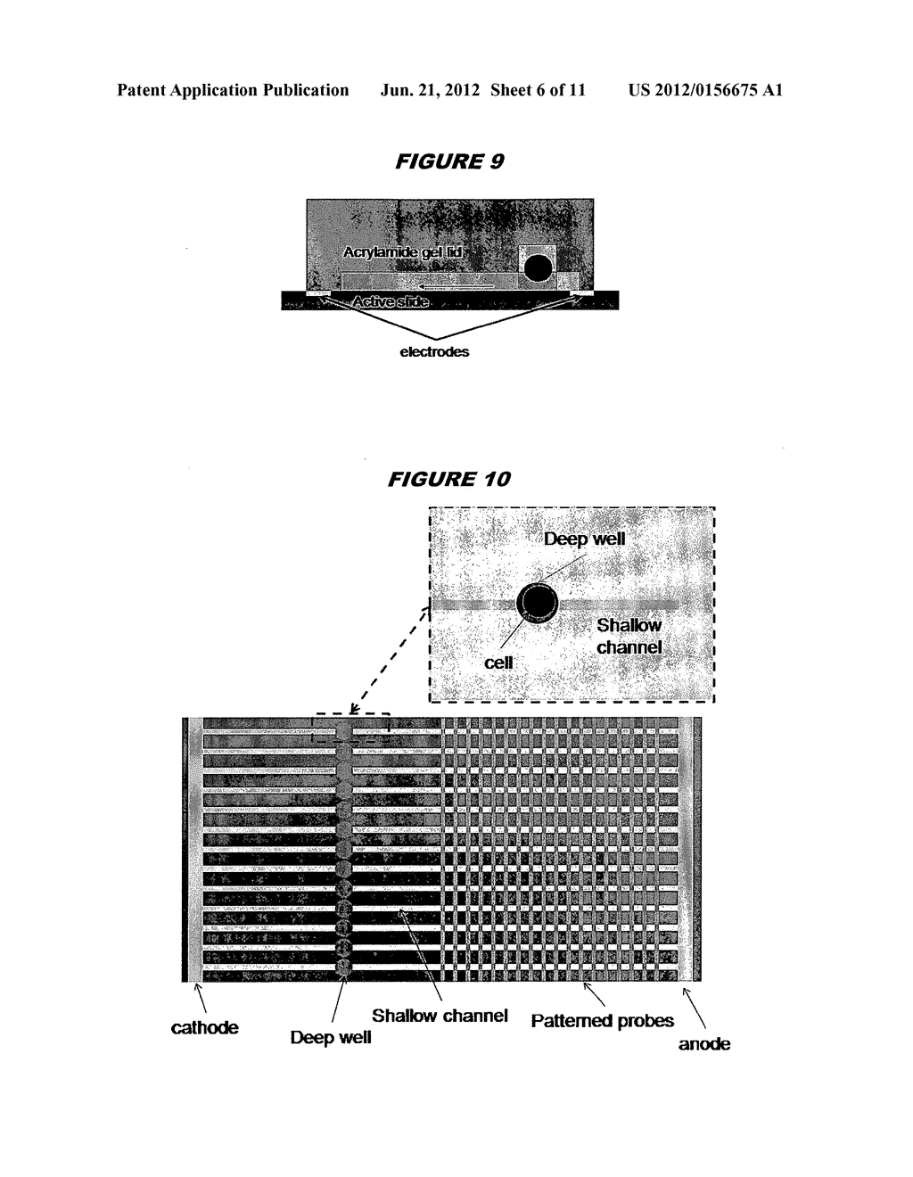 PICOWELL CAPTURE DEVICES FOR ANALYSING SINGLE CELLS OR OTHER PARTICLES - diagram, schematic, and image 07