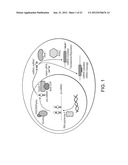 SINGLE NUCLEOTIDE POLYMORPHISMS IN BRCA1 AND CANCER RISK diagram and image