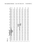 SINGLE NUCLEOTIDE POLYMORPHISMS IN BRCA1 AND CANCER RISK diagram and image