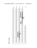 SINGLE NUCLEOTIDE POLYMORPHISMS IN BRCA1 AND CANCER RISK diagram and image