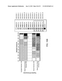 SINGLE NUCLEOTIDE POLYMORPHISMS IN BRCA1 AND CANCER RISK diagram and image