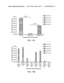 SINGLE NUCLEOTIDE POLYMORPHISMS IN BRCA1 AND CANCER RISK diagram and image