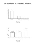 SINGLE NUCLEOTIDE POLYMORPHISMS IN BRCA1 AND CANCER RISK diagram and image