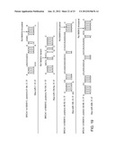 SINGLE NUCLEOTIDE POLYMORPHISMS IN BRCA1 AND CANCER RISK diagram and image