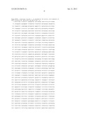 SINGLE NUCLEOTIDE POLYMORPHISMS IN BRCA1 AND CANCER RISK diagram and image