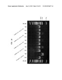 Detection and Quantification of Hydroxymethylated Nucleotides in a     Polynucleotide Preparation diagram and image