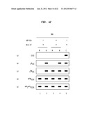 Detection and Quantification of Hydroxymethylated Nucleotides in a     Polynucleotide Preparation diagram and image