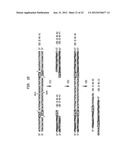 Detection and Quantification of Hydroxymethylated Nucleotides in a     Polynucleotide Preparation diagram and image