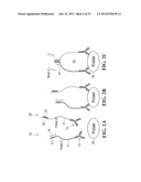 BINDING-INDUCED HAIRPIN DETECTION SYSTEM diagram and image