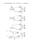 BINDING-INDUCED HAIRPIN DETECTION SYSTEM diagram and image