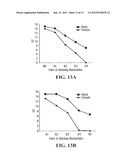 BINDING-INDUCED HAIRPIN DETECTION SYSTEM diagram and image