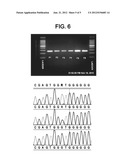 ONE-STEP METHOD OF ELUTION OF DNA FROM BLOOD SAMPLES diagram and image