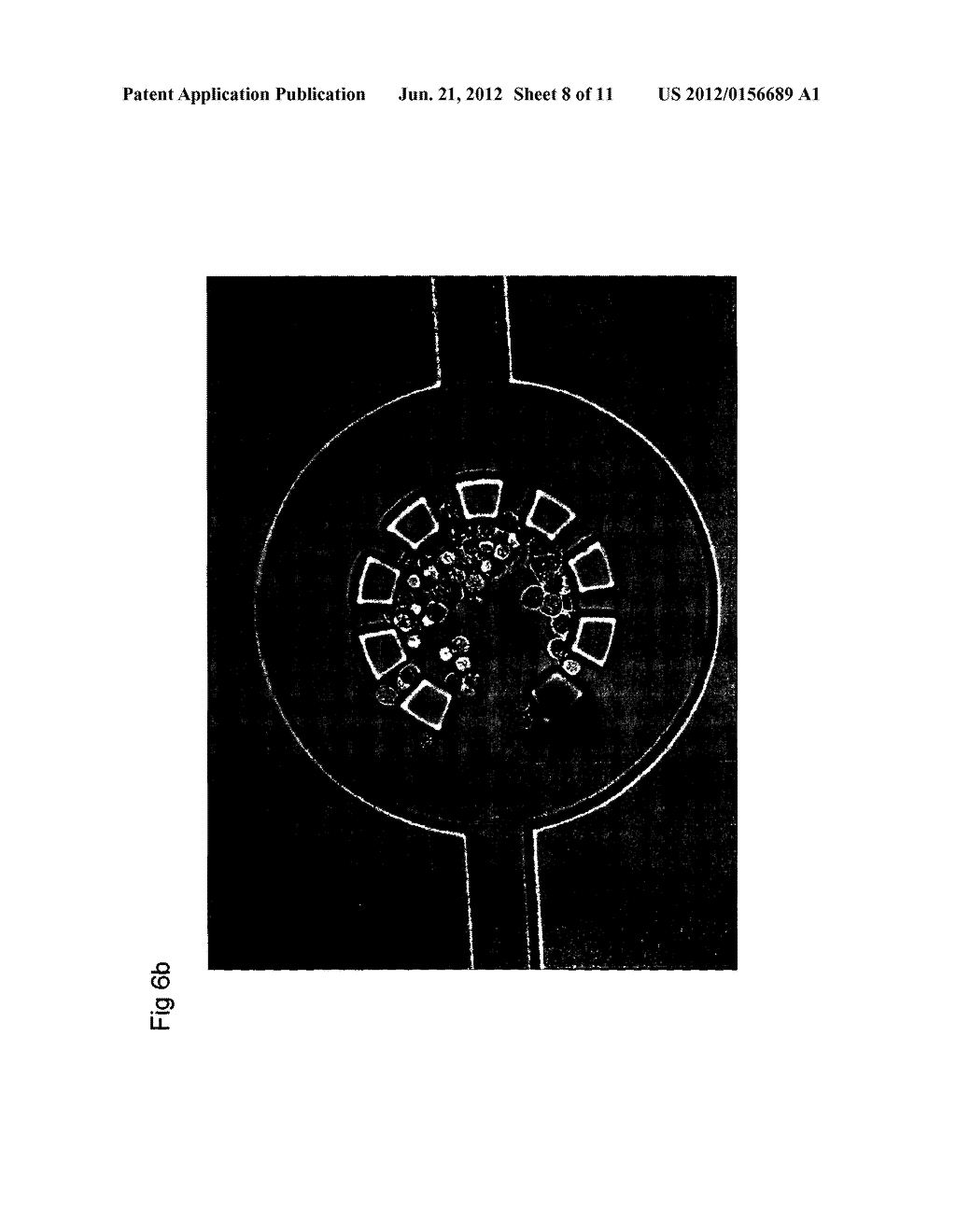 METHOD AND APPARATUS FOR DETERMINING AN ANALYTE PARAMETER - diagram, schematic, and image 09