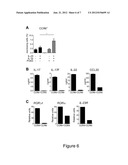 Pathogenic TH17 Cells; related reagents and methods diagram and image