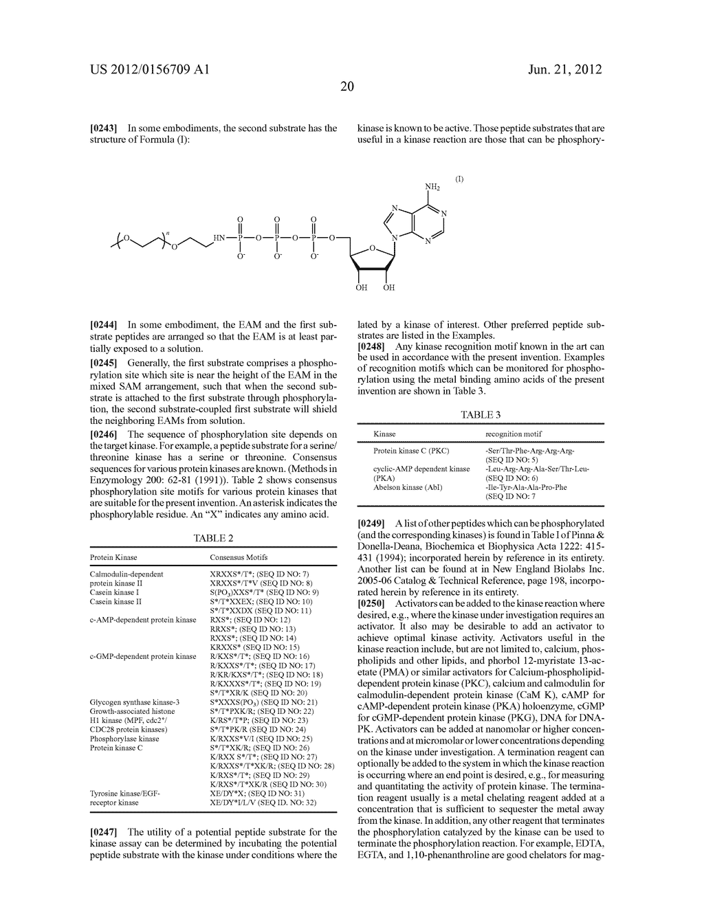 Electrochemical Assay for the Detection of Enzymes - diagram, schematic, and image 35