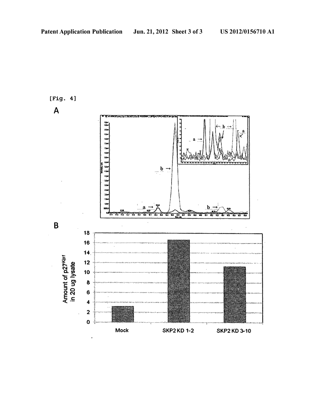 METHOD FOR QUANTIFYING PROTEIN - diagram, schematic, and image 04