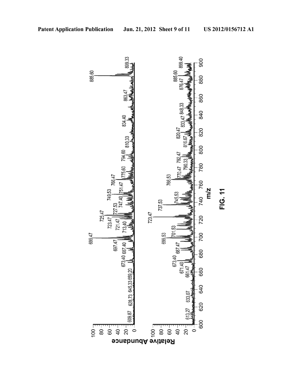 SYSTEM AND METHOD FOR IDENTIFICATION OF BIOLOGICAL TISSUES - diagram, schematic, and image 10