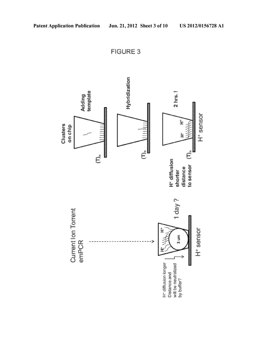 CLONAL AMPLIFICATION OF NUCLEIC ACID ON SOLID SURFACE WITH TEMPLATE     WALKING - diagram, schematic, and image 04