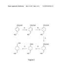 MICROORGANISMS AND METHODS FOR THE PRODUCTION OF 1,4-CYCLOHEXANEDIMETHANOL diagram and image