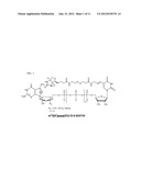 PREPARATION AND ISOLATION OF 5  CAPPED MRNA diagram and image