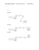 PREPARATION AND ISOLATION OF 5  CAPPED MRNA diagram and image