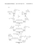 PREPARATION AND ISOLATION OF 5  CAPPED MRNA diagram and image