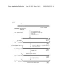 PREPARATION AND ISOLATION OF 5  CAPPED MRNA diagram and image