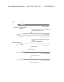 PREPARATION AND ISOLATION OF 5  CAPPED MRNA diagram and image