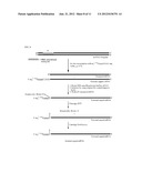 PREPARATION AND ISOLATION OF 5  CAPPED MRNA diagram and image