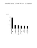 PREPARATION AND ISOLATION OF 5  CAPPED MRNA diagram and image