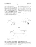 PREPARATION AND ISOLATION OF 5  CAPPED MRNA diagram and image