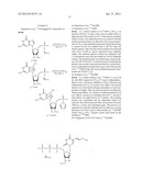 PREPARATION AND ISOLATION OF 5  CAPPED MRNA diagram and image