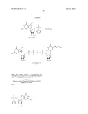 PREPARATION AND ISOLATION OF 5  CAPPED MRNA diagram and image