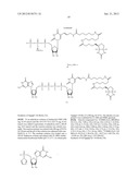 PREPARATION AND ISOLATION OF 5  CAPPED MRNA diagram and image